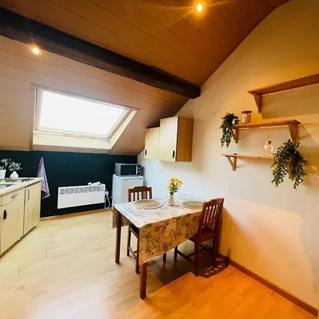 Apartment Rustique A Liege