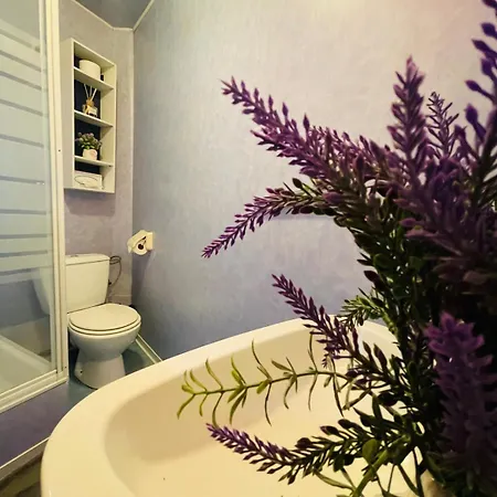 Rustique A Apartment Liege